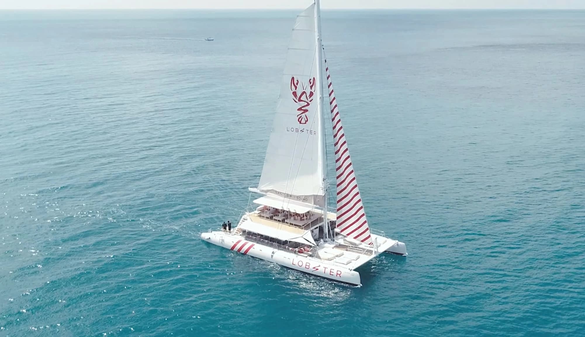 ceycat-55